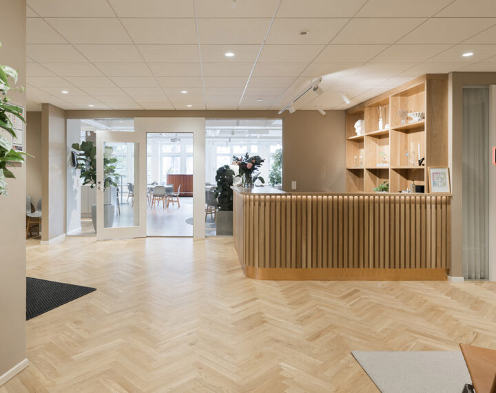 finansiell planering masterdata management generativ AI